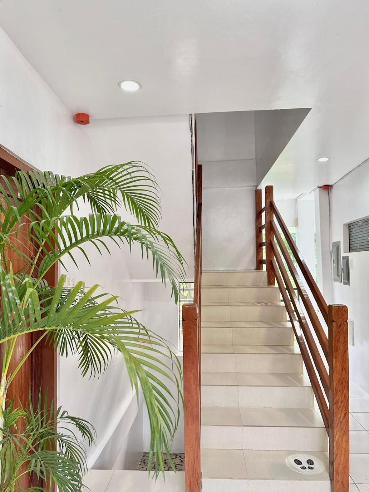 Hotel Casa Juliana El Nido Extérieur photo